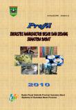 Profil Industri Manufaktur Besar Dan Sedang Sumatera Barat 2010