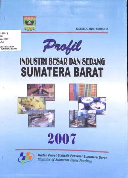 Profil Industri Besar Dan Sedang  Provinsi Sumatera Barat Tahun 2007