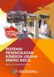 Analisis Hasil SE2016 Lanjutan, Potensi Peningkatan Kinerja Usaha Mikro Kecil Provinsi Sumatera Barat