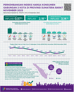 November 2023, Inflasi Year On Year Kota Padang Sebesar 3,20 Persen Dan Kota Bukittinggi Sebesar 2,69 Persen. Secara Agregat, Inflasi Year On Year Gabungan 2 Kota Sebesar 3,14 Persen