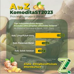 A to Z KomoditaST2023 Provinsi Sumatera Barat-Produksi Jahe